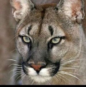 Meet your Posher, Alejandro